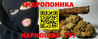 ешки Ставрополь