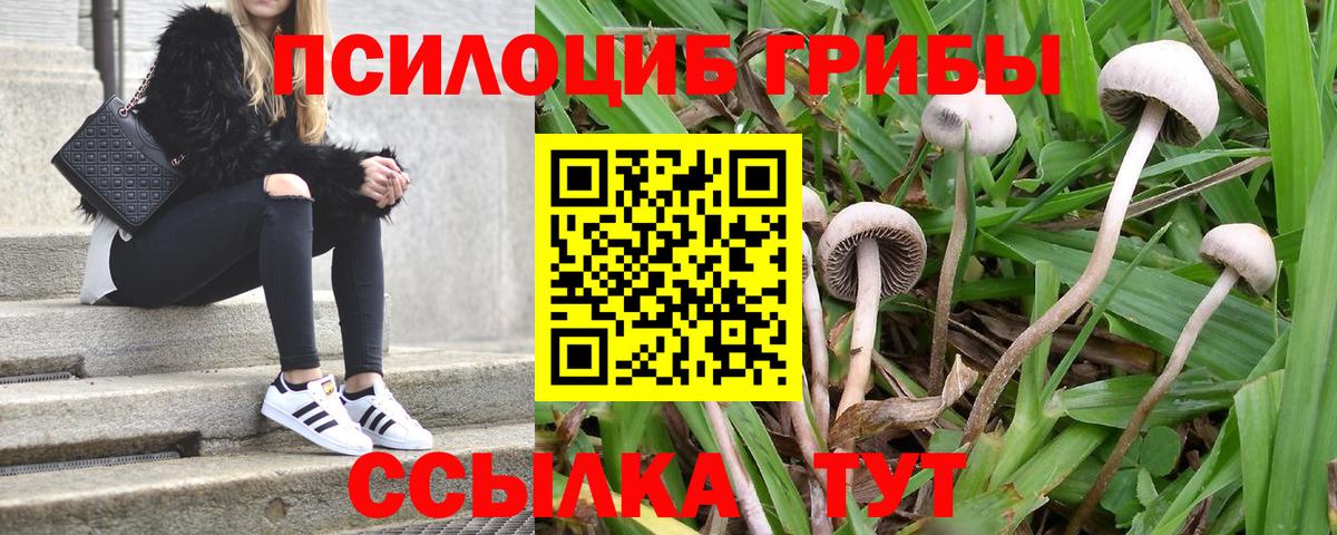 Галлюциногенные грибы мицелий Нижневартовск